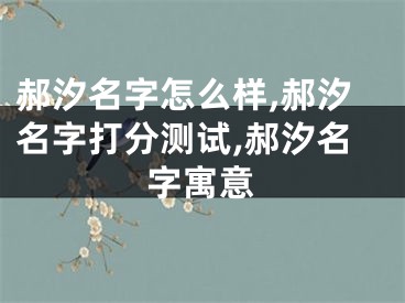 郝汐名字怎么样,郝汐名字打分测试,郝汐名字寓意