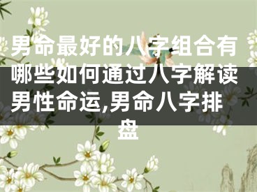男命最好的八字组合有哪些如何通过八字解读男性命运,男命八字排盘
