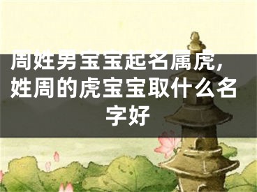 周姓男宝宝起名属虎,姓周的虎宝宝取什么名字好