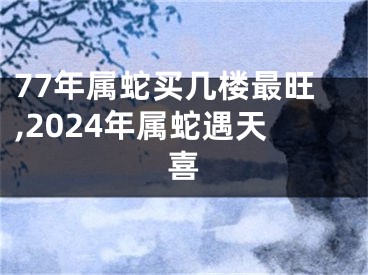77年属蛇买几楼最旺,2024年属蛇遇天喜