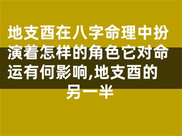 地支酉在八字命理中扮演着怎样的角色它对命运有何影响,地支酉的另一半