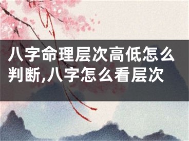 八字命理层次高低怎么判断,八字怎么看层次