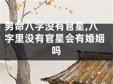 男命八字没有官星,八字里没有官星会有婚姻吗