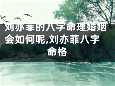 刘亦菲的八字命理婚姻会如何呢,刘亦菲八字命格