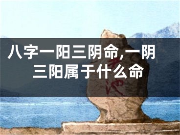 八字一阳三阴命,一阴三阳属于什么命