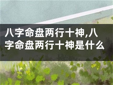 八字命盘两行十神,八字命盘两行十神是什么