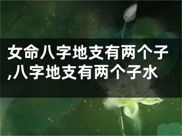 女命八字地支有两个子,八字地支有两个子水