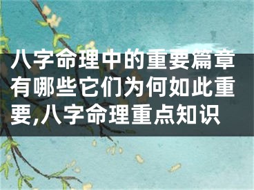 八字命理中的重要篇章有哪些它们为何如此重要,八字命理重点知识