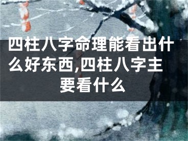 四柱八字命理能看出什么好东西,四柱八字主要看什么