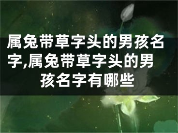 属兔带草字头的男孩名字,属兔带草字头的男孩名字有哪些