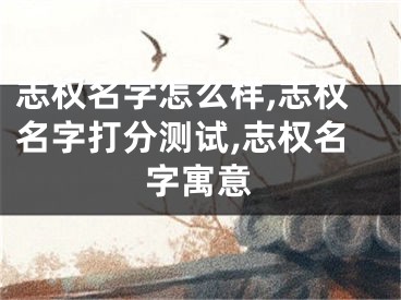 志权名字怎么样,志权名字打分测试,志权名字寓意