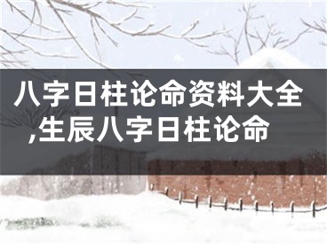 八字日柱论命资料大全,生辰八字日柱论命