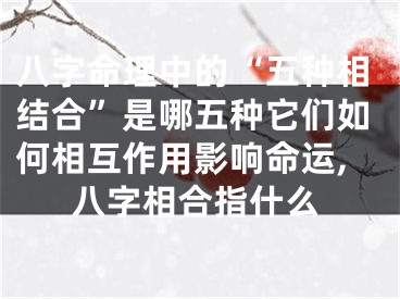 八字命理中的“五种相结合”是哪五种它们如何相互作用影响命运,八字相合指什么