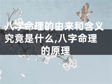 八字命理的由来和含义究竟是什么,八字命理的原理