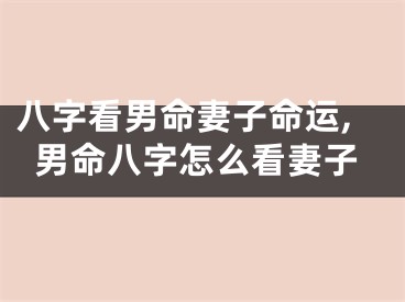 八字看男命妻子命运,男命八字怎么看妻子