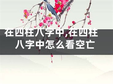 在四柱八字中,在四柱八字中怎么看空亡