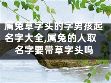 属兔草字头的字男孩起名字大全,属兔的人取名字要带草字头吗