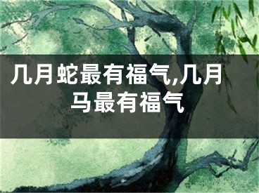 几月蛇最有福气,几月马最有福气