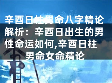 辛酉日柱男命八字精论解析：辛酉日出生的男性命运如何,辛酉日柱男命女命精论