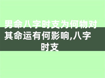 男命八字时支为何物对其命运有何影响,八字 时支