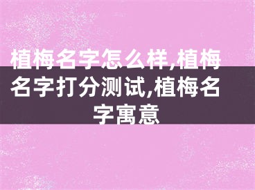 植梅名字怎么样,植梅名字打分测试,植梅名字寓意
