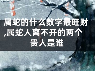 属蛇的什么数字最旺财,属蛇人离不开的两个贵人是谁