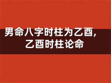 男命八字时柱为乙酉,乙酉时柱论命