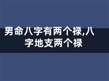 男命八字有两个禄,八字地支两个禄
