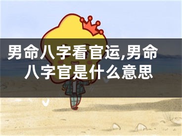 男命八字看官运,男命八字官是什么意思