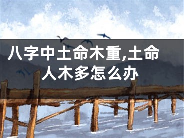 八字中土命木重,土命人木多怎么办
