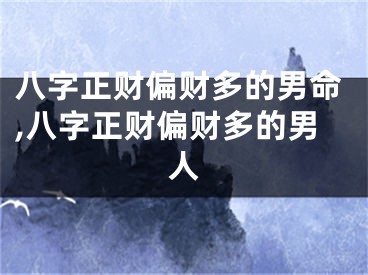 八字正财偏财多的男命,八字正财偏财多的男人