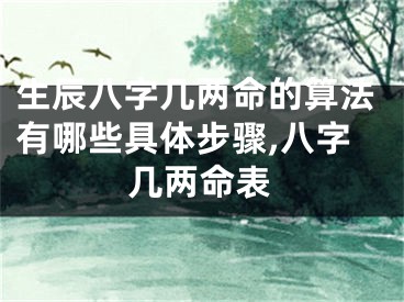生辰八字几两命的算法有哪些具体步骤,八字几两命表