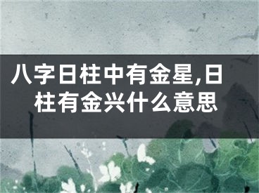 八字日柱中有金星,日柱有金兴什么意思