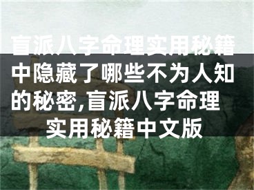 盲派八字命理实用秘籍中隐藏了哪些不为人知的秘密,盲派八字命理实用秘籍中文版