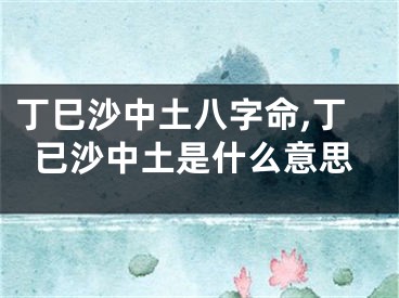 丁巳沙中土八字命,丁已沙中土是什么意思