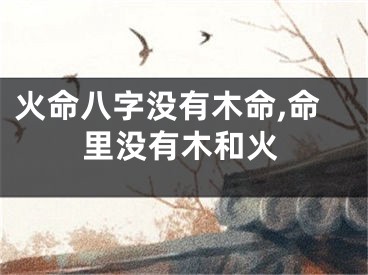 火命八字没有木命,命里没有木和火