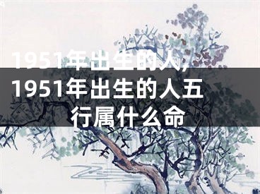 1951年出生的人,1951年出生的人五行属什么命