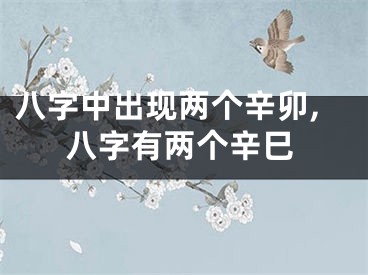 八字中出现两个辛卯,八字有两个辛巳