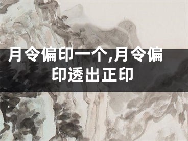 月令偏印一个,月令偏印透出正印