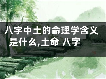八字中土的命理学含义是什么,土命 八字