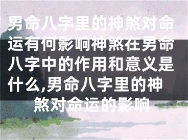 男命八字里的神煞对命运有何影响神煞在男命八字中的作用和意义是什么,男命八字里的神煞对命运的影响
