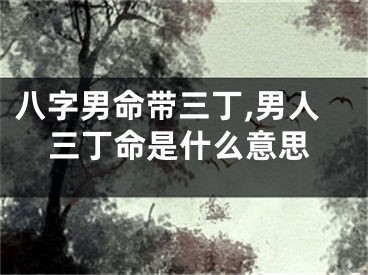 八字男命带三丁,男人三丁命是什么意思