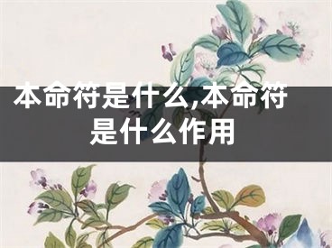 本命符是什么,本命符是什么作用