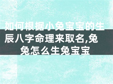 如何根据小兔宝宝的生辰八字命理来取名,兔兔怎么生兔宝宝