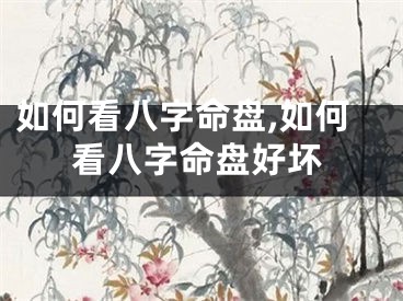 如何看八字命盘,如何看八字命盘好坏