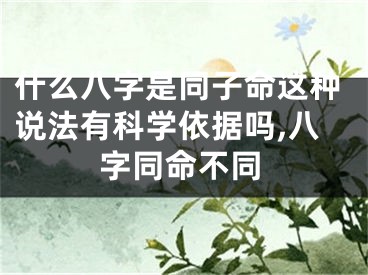 什么八字是同子命这种说法有科学依据吗,八字同命不同
