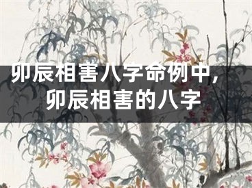 卯辰相害八字命例中,卯辰相害的八字