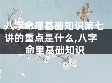 八字命理基础知识第七讲的重点是什么,八字命里基础知识