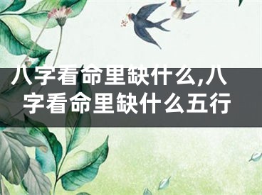 八字看命里缺什么,八字看命里缺什么五行