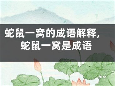 蛇鼠一窝的成语解释,蛇鼠一窝是成语
